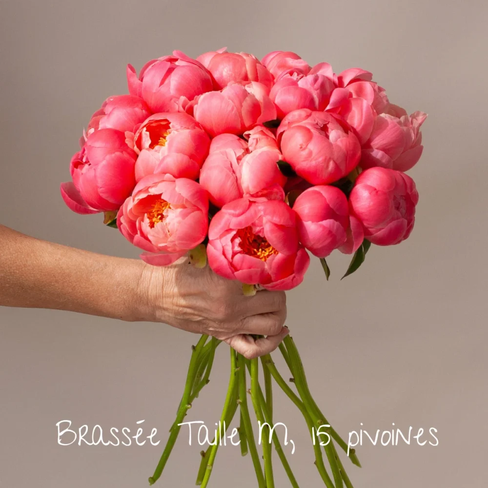 Brassée de pivoines