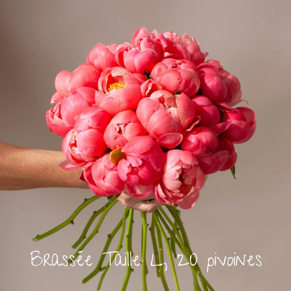 Brassée de pivoines