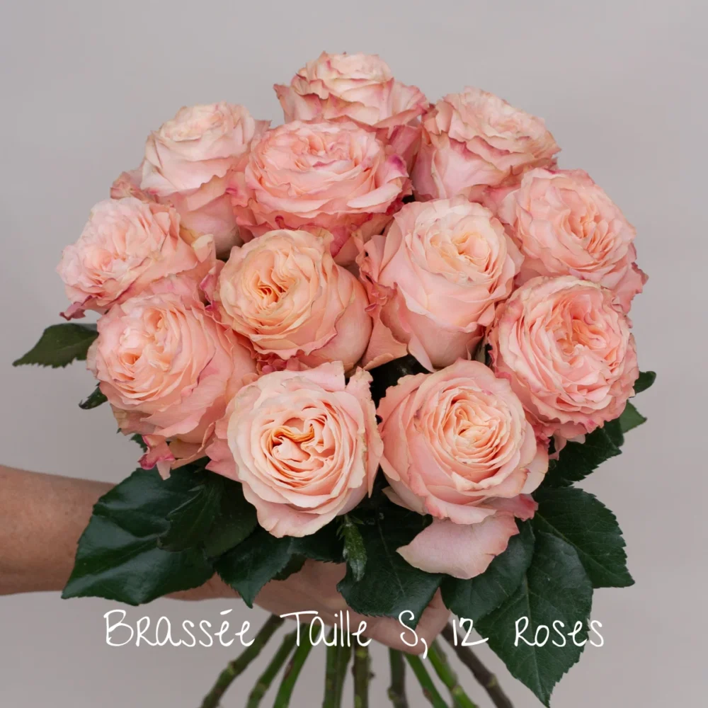 Brassée de roses