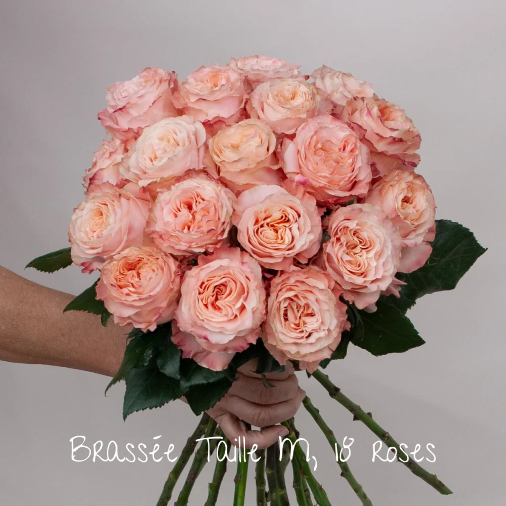 Brassée de roses