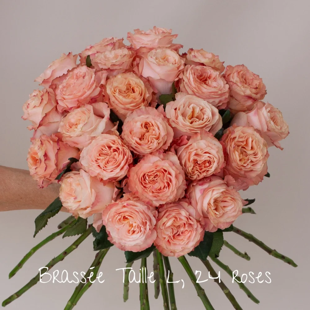 Brassée de roses